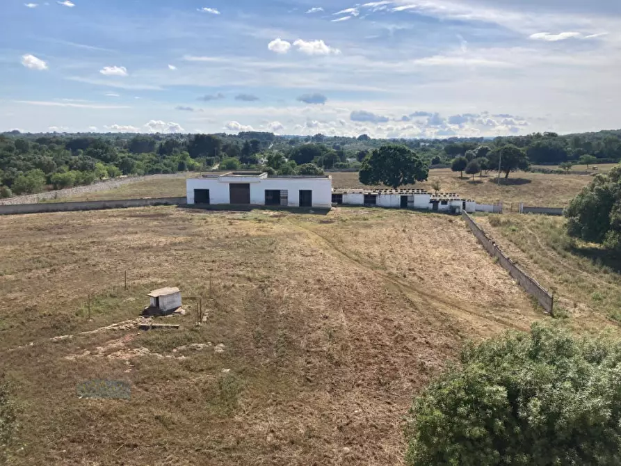 Immagine 26 di Rustico / casale in vendita  in Contrada Marangi a Ceglie Messapico