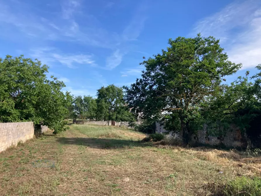 Immagine 28 di Rustico / casale in vendita  in Contrada Marangi a Ceglie Messapico