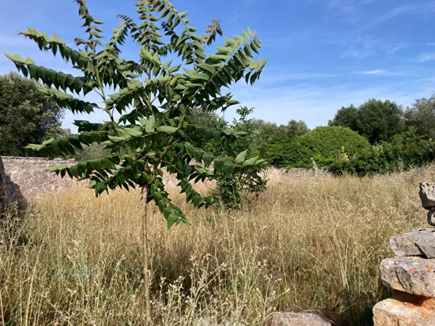 Immagine 29 di Rustico / casale in vendita  in Contrada Marangi a Ceglie Messapico