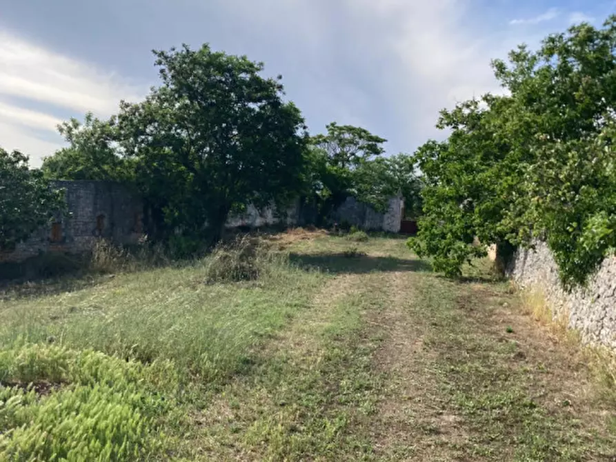Immagine 31 di Rustico / casale in vendita  in Contrada Marangi a Ceglie Messapico