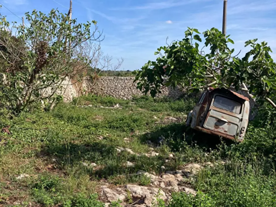 Immagine 33 di Rustico / casale in vendita  in Contrada Marangi a Ceglie Messapico