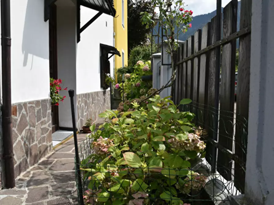 Immagine 4 di Villetta a schiera in vendita  a Caldonazzo