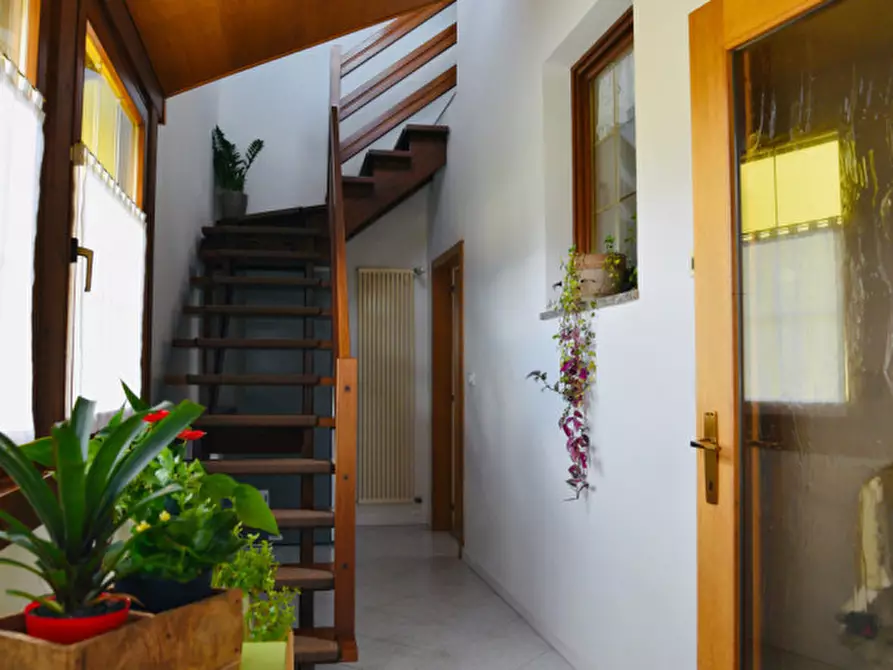 Immagine 9 di Villetta a schiera in vendita  a Caldonazzo