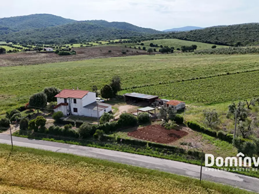Immagine 5 di Rustico / casale in vendita  in Strada Valmarina a Capalbio