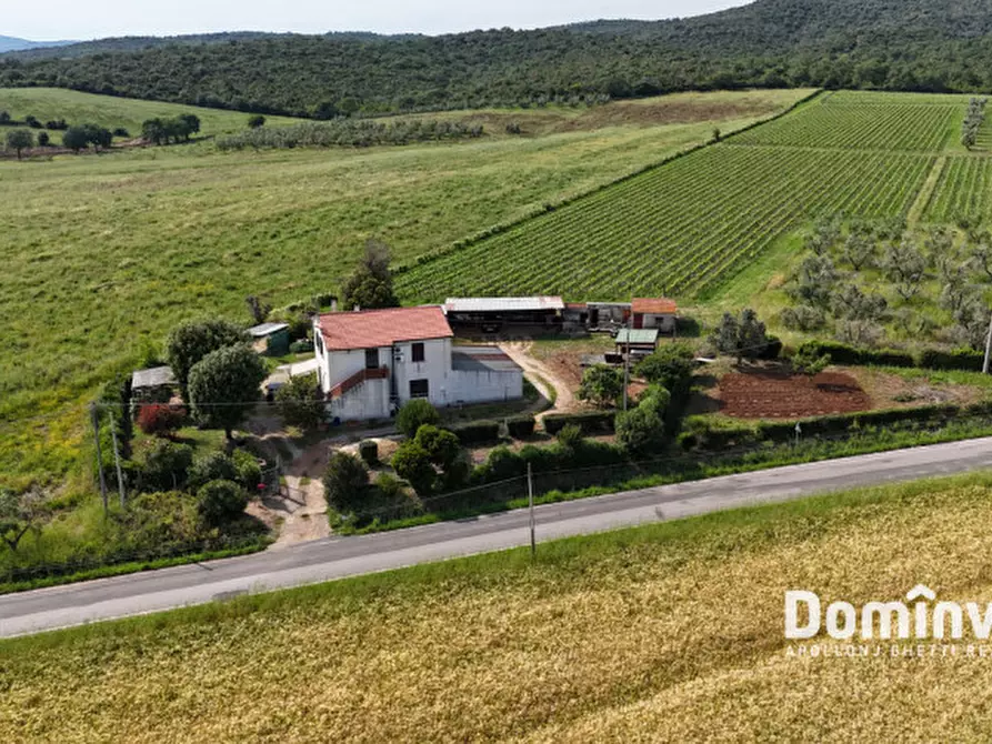 Immagine 6 di Rustico / casale in vendita  in Strada Valmarina a Capalbio