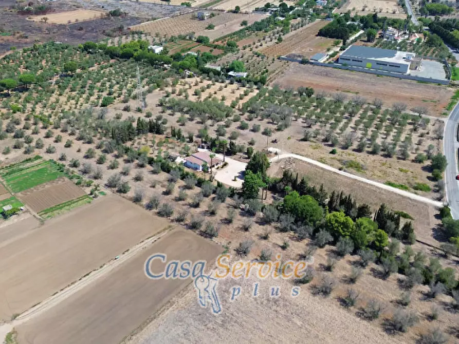 Immagine 50 di Villa in vendita  in Via Matino a Taviano