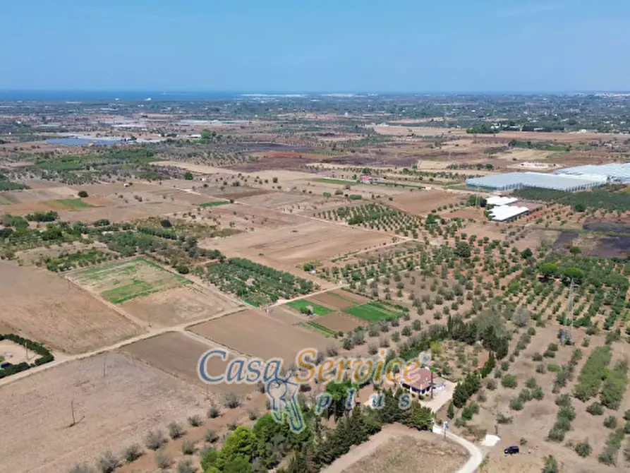 Immagine 57 di Villa in vendita  in Via Matino a Taviano
