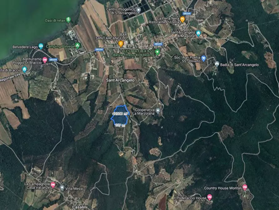 Immagine 2 di Terreno in vendita  a Magione