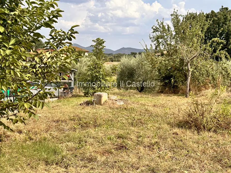 Immagine 6 di Magazzino in vendita  in Pucciarelli a Castiglione Del Lago