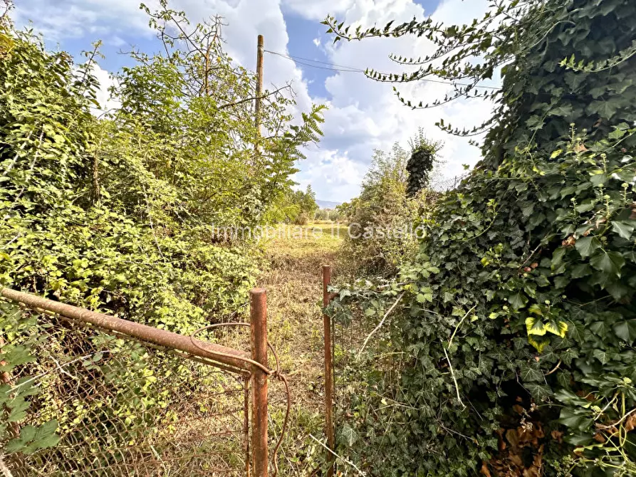 Immagine 9 di Magazzino in vendita  in Pucciarelli a Castiglione Del Lago