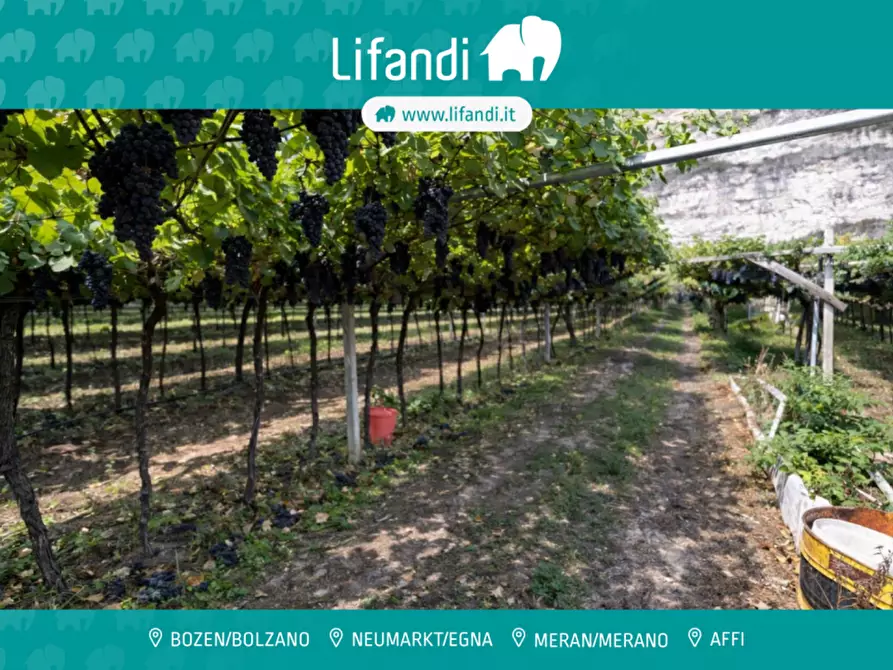 Immagine 1 di Terreno in vendita  a Roverè Della Luna