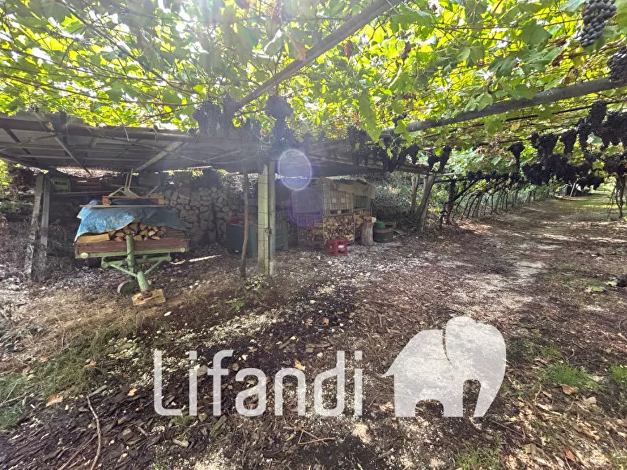 Immagine 3 di Terreno in vendita  a Roverè Della Luna