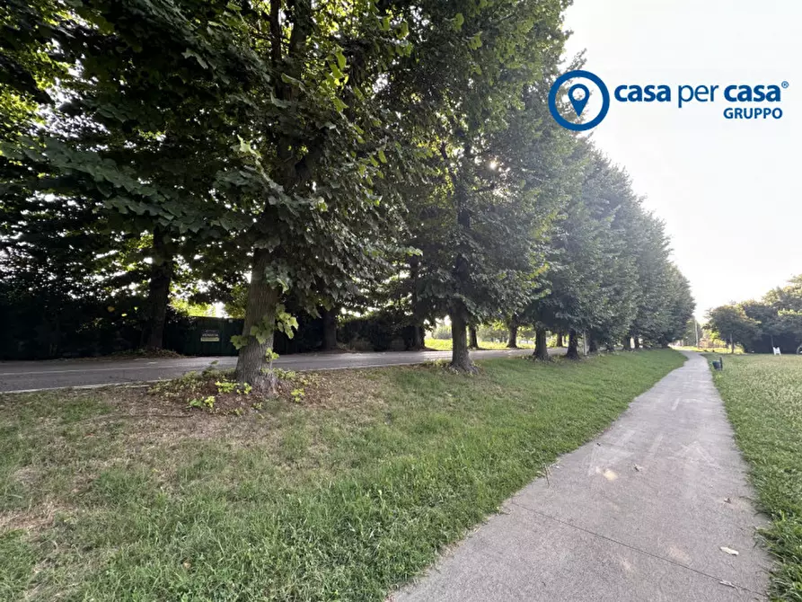 Immagine 4 di Terreno in vendita  in Via Migliorini a Badia Polesine