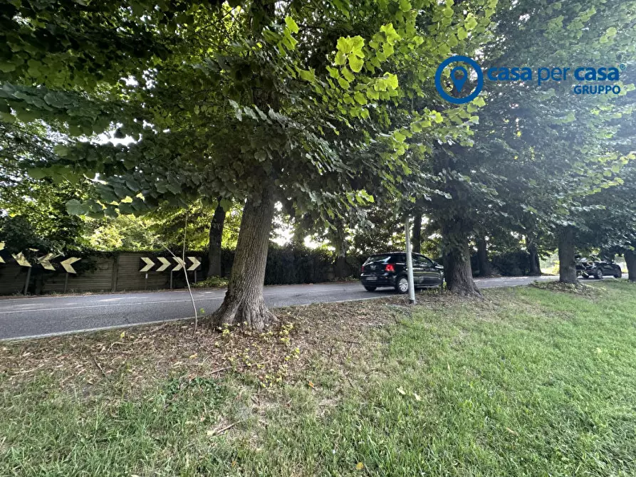 Immagine 6 di Terreno in vendita  in Via Migliorini a Badia Polesine