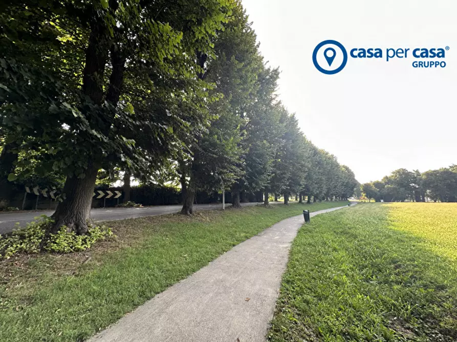 Immagine 7 di Terreno in vendita  in Via Migliorini a Badia Polesine