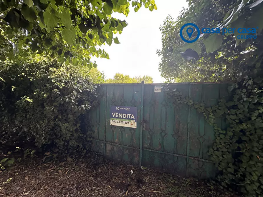 Immagine 8 di Terreno in vendita  in Via Migliorini a Badia Polesine