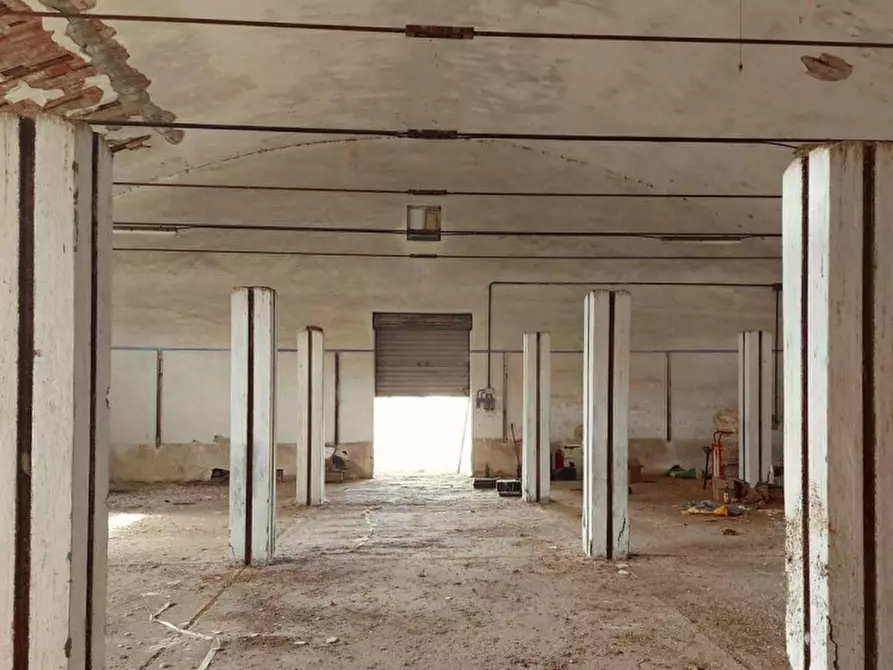 Immagine 4 di Terreno in vendita  in Via Mario Angeloni, N. snc a Perugia