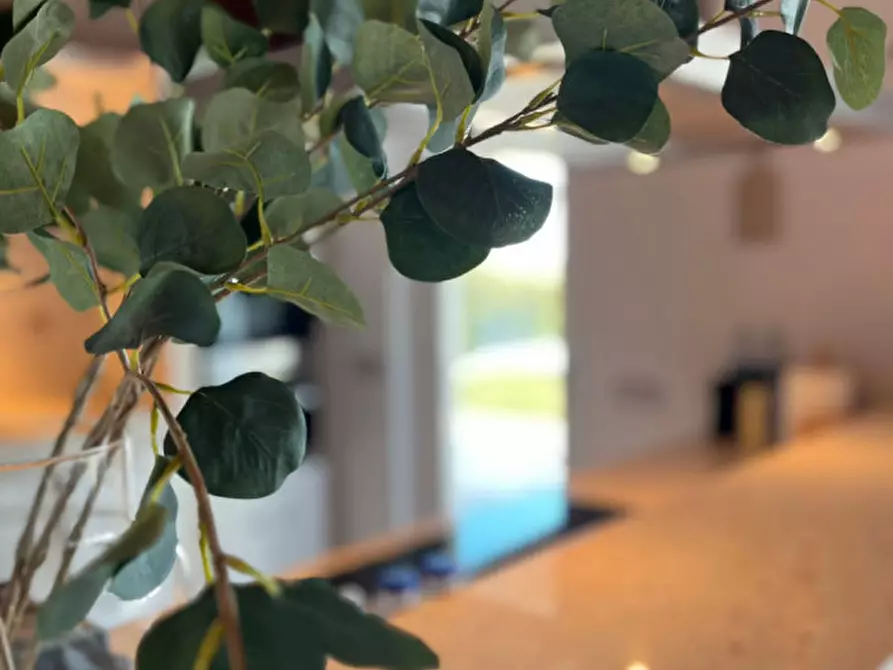 Immagine 23 di Villa in vendita  a Golfo Aranci