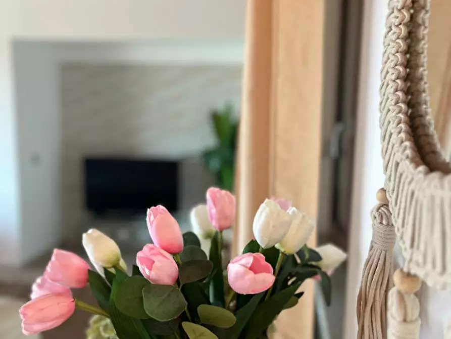 Immagine 24 di Villa in vendita  a Golfo Aranci