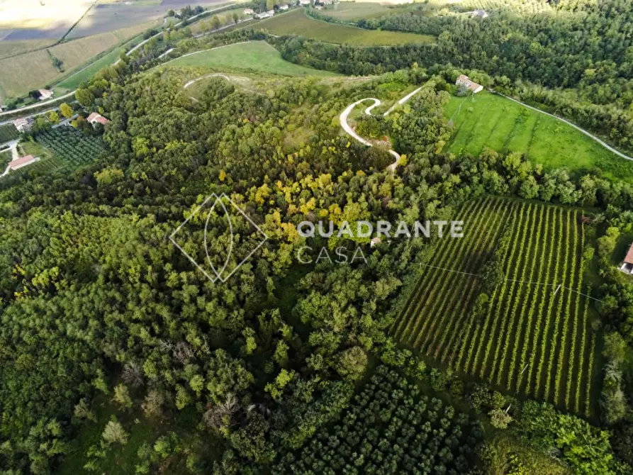 Immagine 3 di Rustico / casale in vendita  in Baone via Papafave a Baone