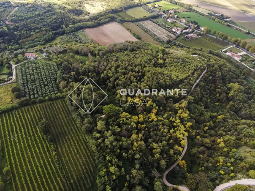 Immagine 5 di Rustico / casale in vendita  in Baone via Papafave a Baone