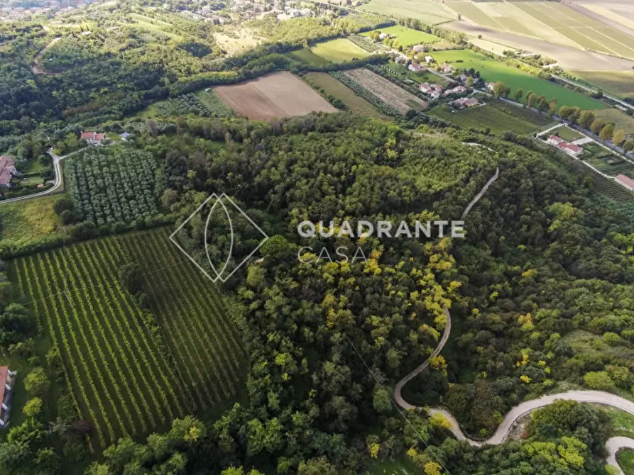 Immagine 7 di Rustico / casale in vendita  in Baone via Papafave a Baone