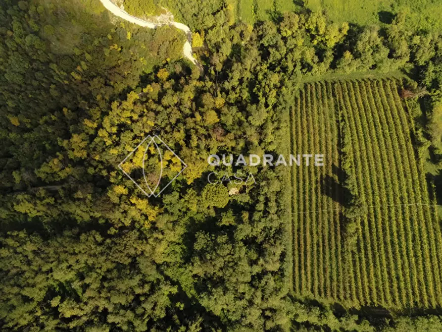 Immagine 12 di Rustico / casale in vendita  in Baone via Papafave a Baone