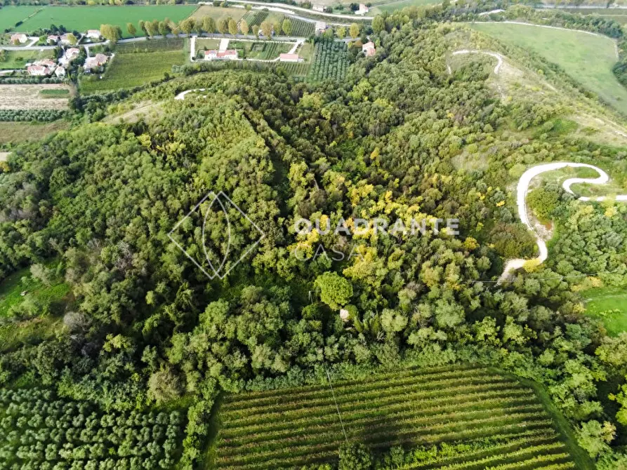 Immagine 14 di Rustico / casale in vendita  in Baone via Papafave a Baone