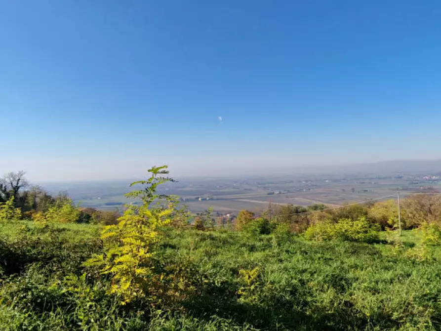 Immagine 16 di Rustico / casale in vendita  in Baone via Papafave a Baone