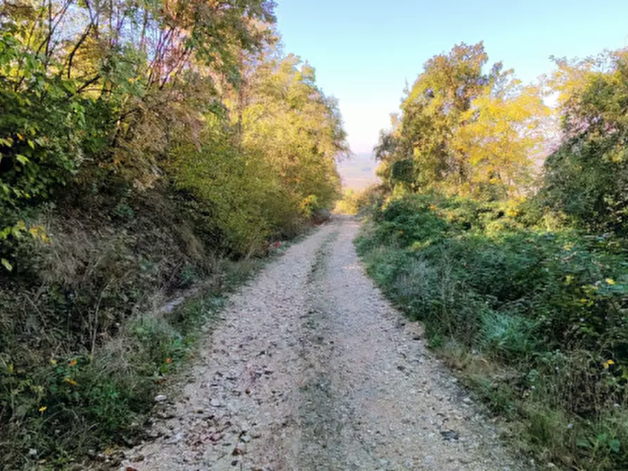 Immagine 17 di Rustico / casale in vendita  in Baone via Papafave a Baone