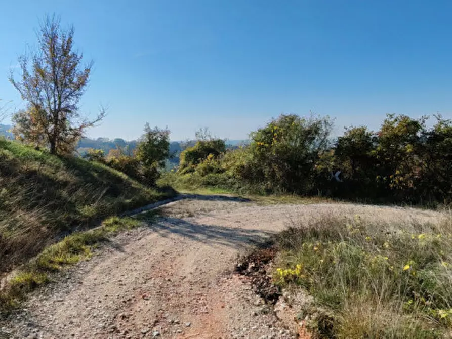 Immagine 18 di Rustico / casale in vendita  in Baone via Papafave a Baone