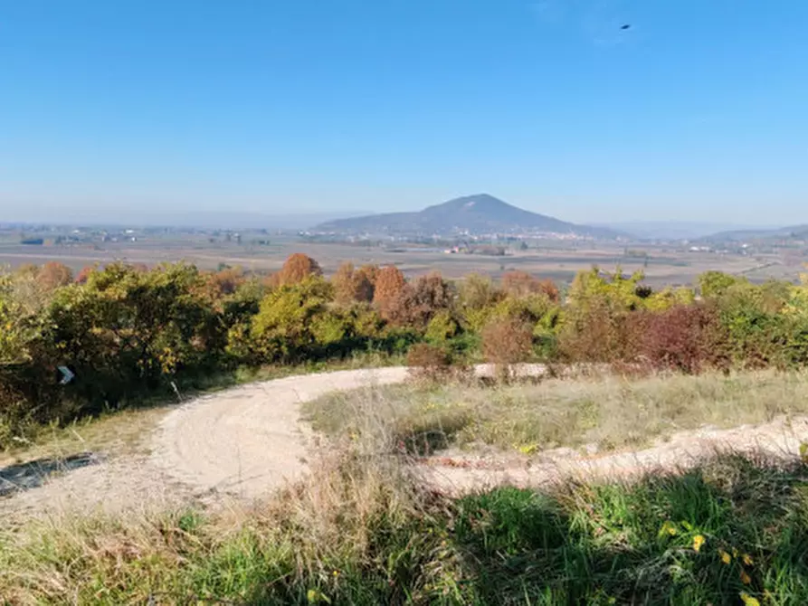 Immagine 17 di Rustico / casale in vendita  in Baone via Papafave a Baone