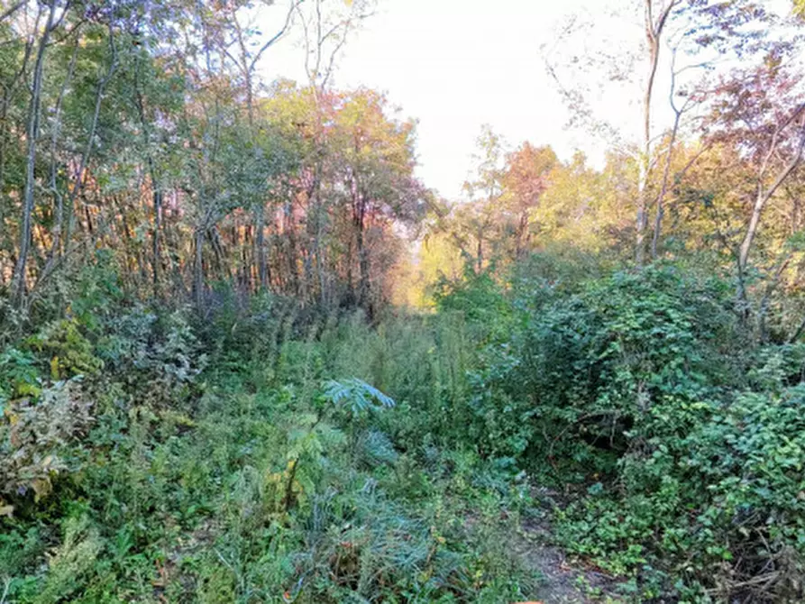 Immagine 20 di Rustico / casale in vendita  in Baone via Papafave a Baone