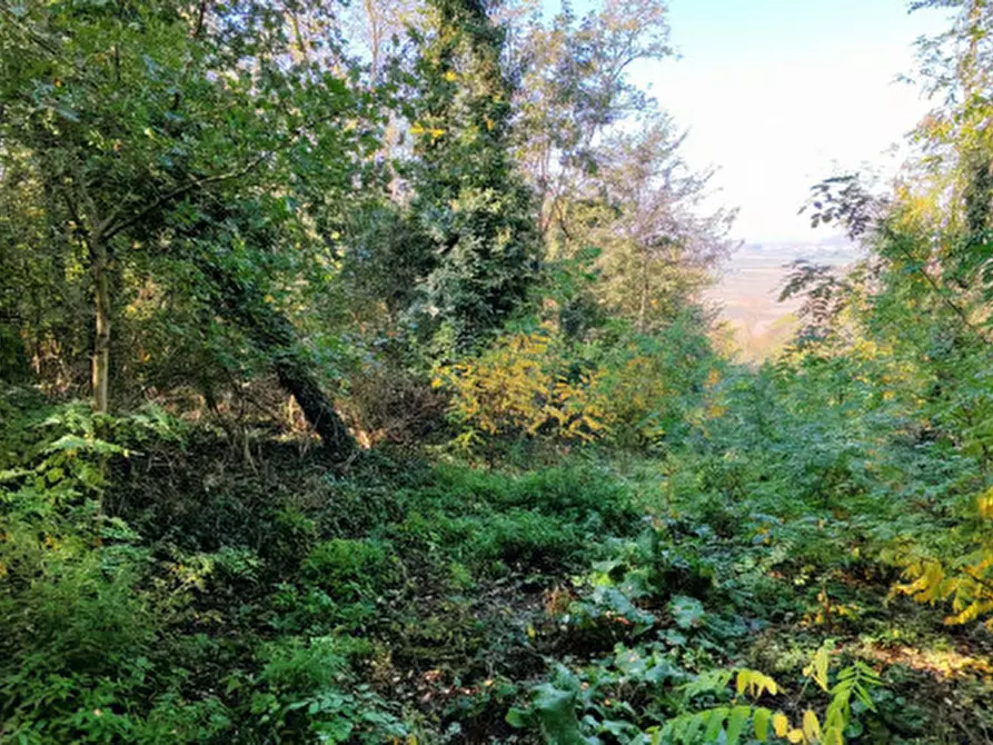 Immagine 21 di Rustico / casale in vendita  in Baone via Papafave a Baone