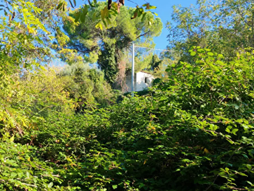 Immagine 22 di Rustico / casale in vendita  in Baone via Papafave a Baone