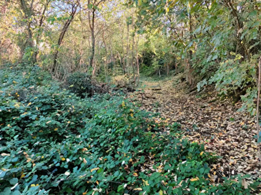 Immagine 23 di Rustico / casale in vendita  in Baone via Papafave a Baone