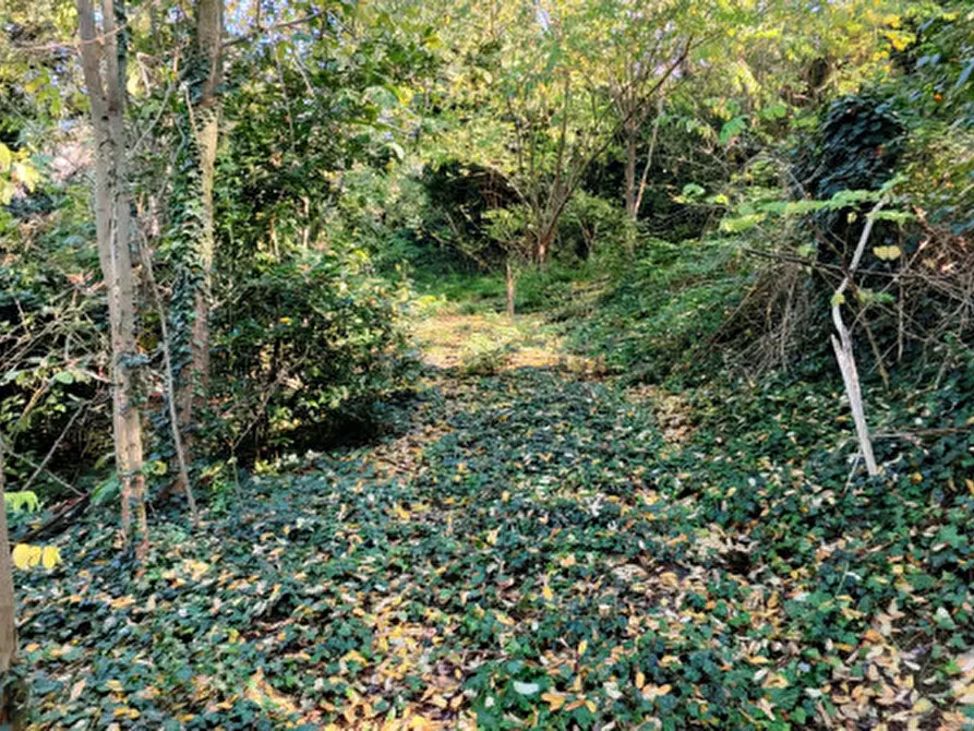 Immagine 24 di Rustico / casale in vendita  in Baone via Papafave a Baone