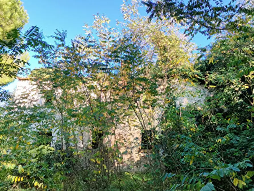 Immagine 25 di Rustico / casale in vendita  in Baone via Papafave a Baone