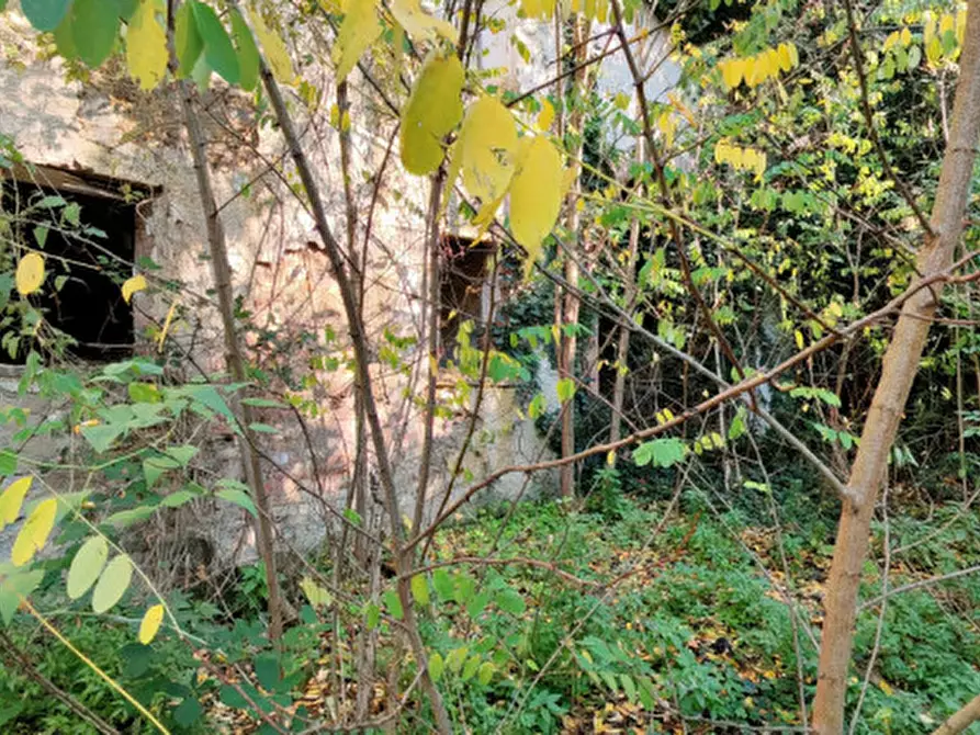 Immagine 26 di Rustico / casale in vendita  in Baone via Papafave a Baone