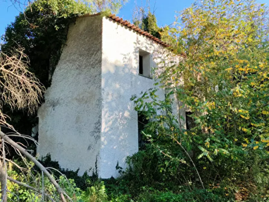 Immagine 28 di Rustico / casale in vendita  in Baone via Papafave a Baone