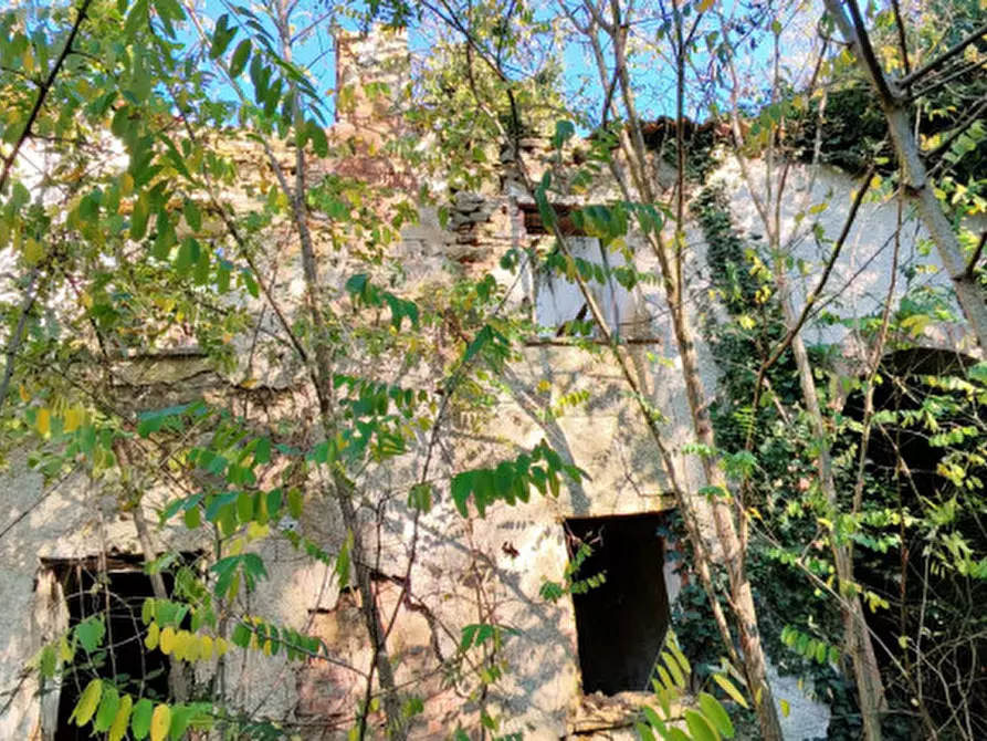 Immagine 29 di Rustico / casale in vendita  in Baone via Papafave a Baone