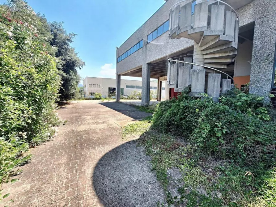 Immagine 3 di Agriturismo in vendita  in Via Lago di Martignano, N. snc a Roma