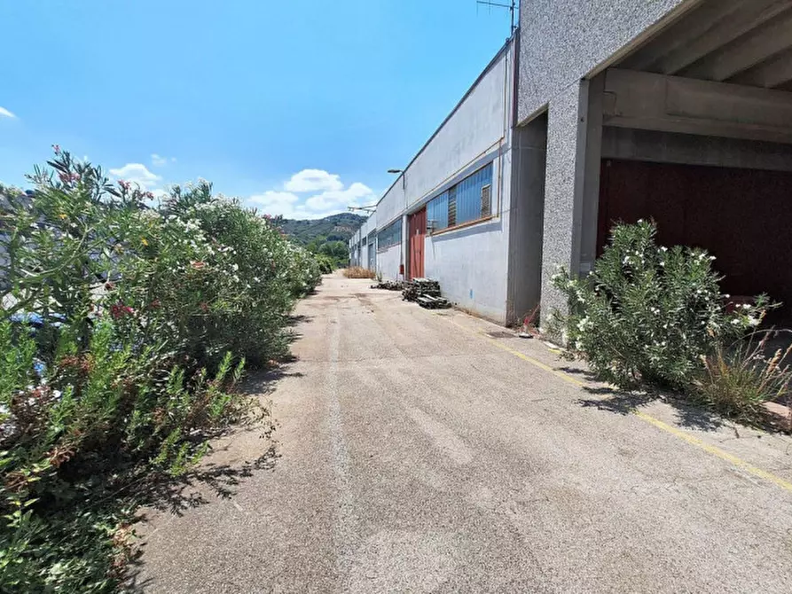 Immagine 4 di Agriturismo in vendita  in Via Lago di Martignano, N. snc a Roma