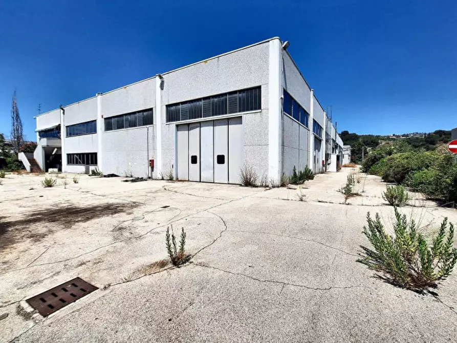 Immagine 6 di Agriturismo in vendita  in Via Lago di Martignano, N. snc a Roma