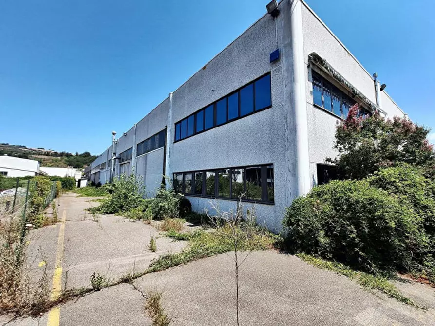 Immagine 8 di Agriturismo in vendita  in Via Lago di Martignano, N. snc a Roma