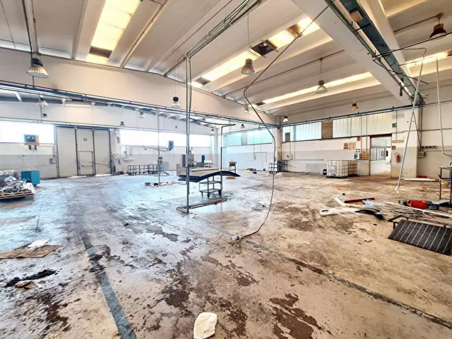 Immagine 14 di Agriturismo in vendita  in Via Lago di Martignano, N. snc a Roma