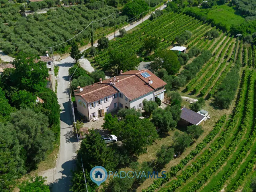 Immagine 1 di Rustico / casale in vendita  in Via Sassoni a Cinto Euganeo