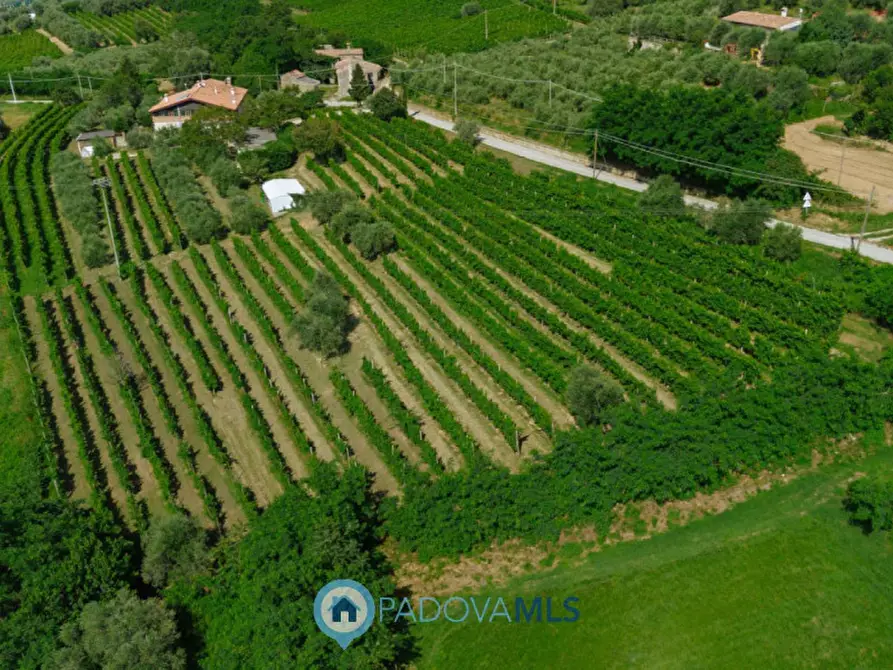 Immagine 3 di Rustico / casale in vendita  in Via Sassoni a Cinto Euganeo