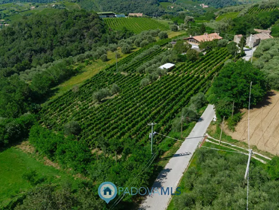 Immagine 4 di Rustico / casale in vendita  in Via Sassoni a Cinto Euganeo