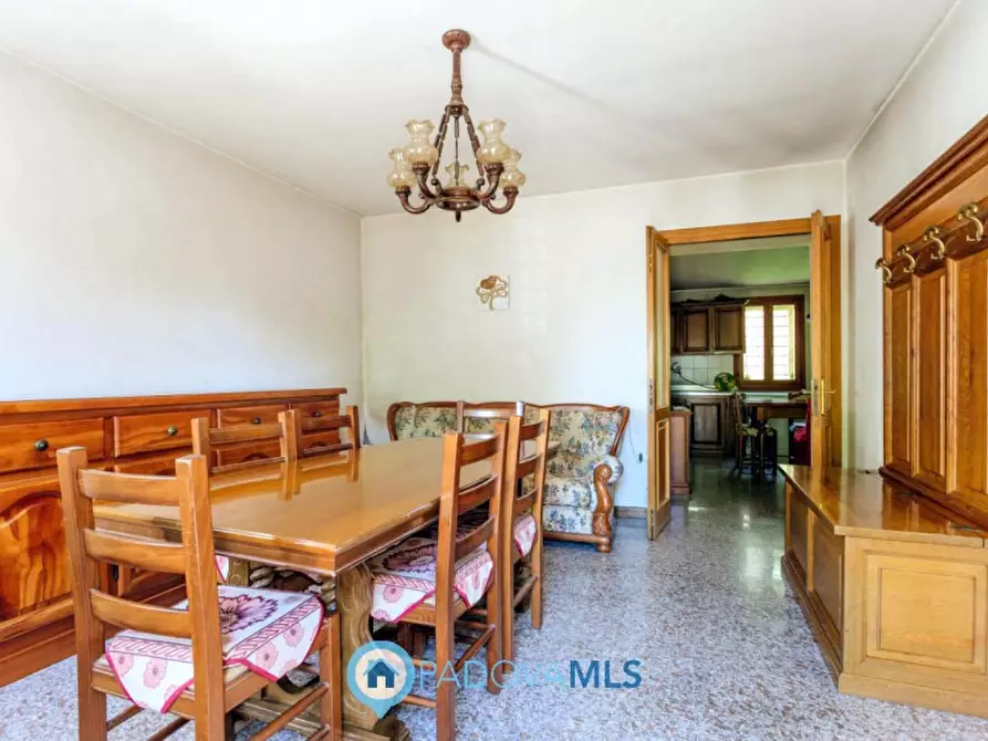 Immagine 25 di Rustico / casale in vendita  in Via Sassoni a Cinto Euganeo